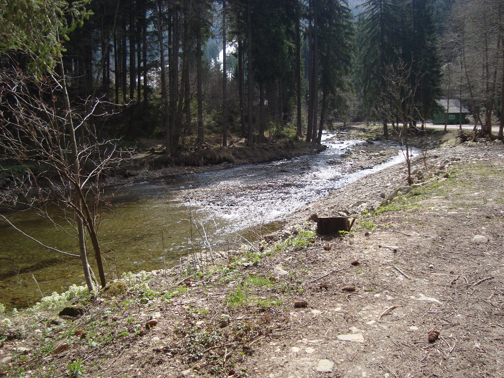 Ubytování a okolí Špindlerův mlýn